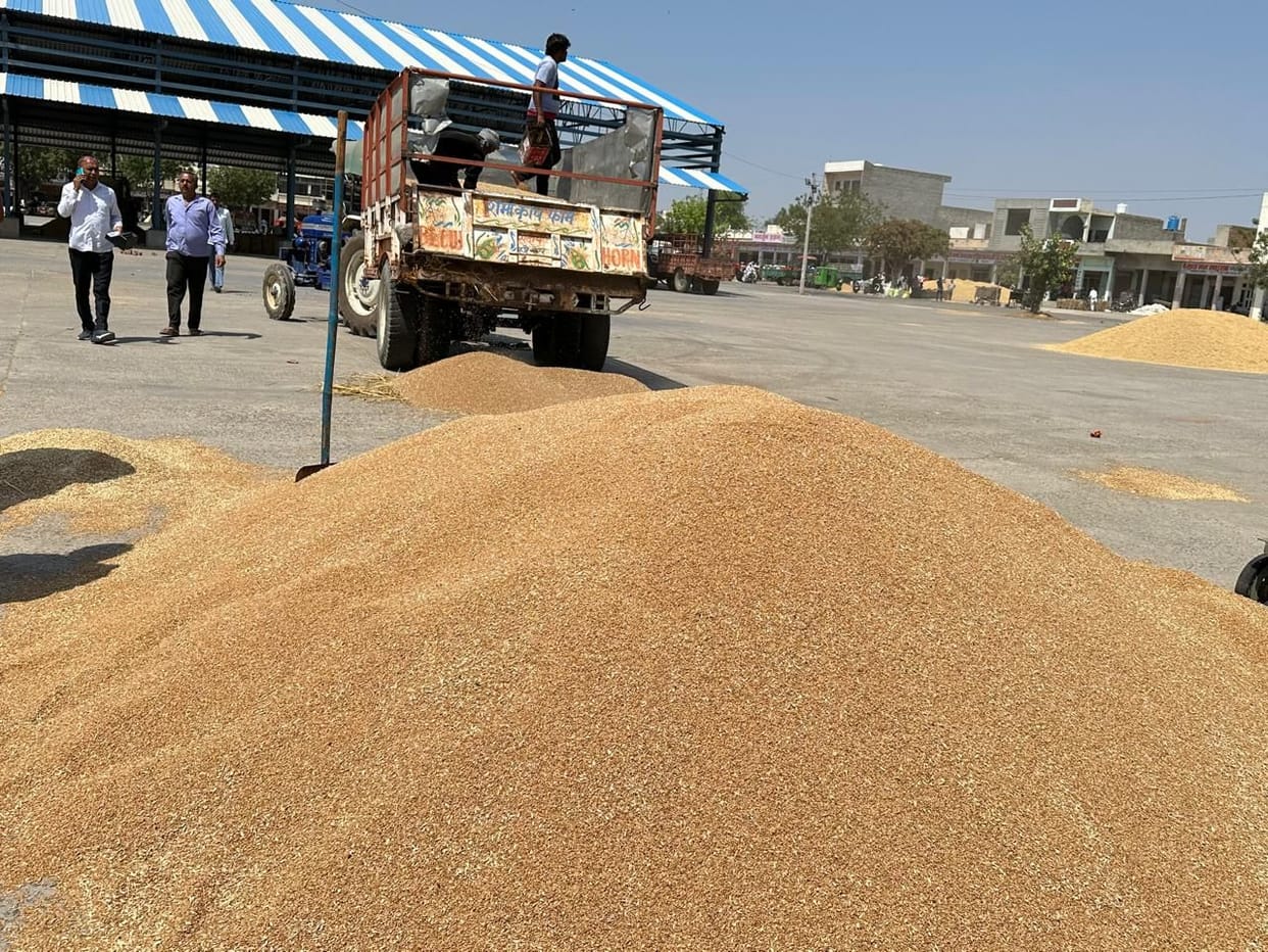 Wheat arrived in the market but was not sold due to excessive moisture.