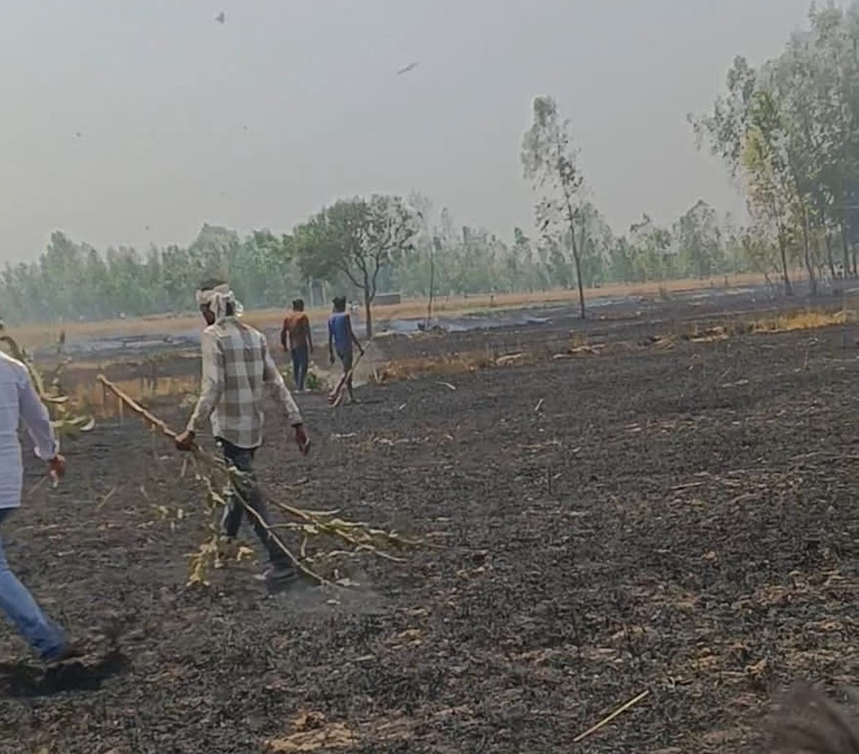 30 acres of wheat crop and stubble burnt in fire