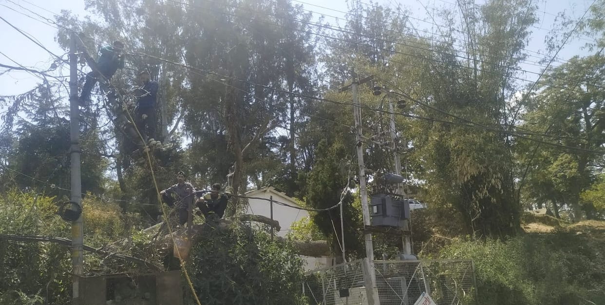 Laborer cutting trees died, accident happened due to coming in contact with high tension line