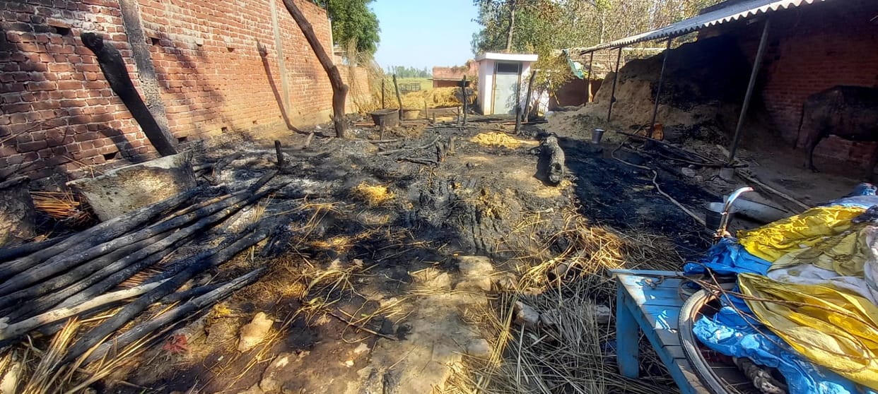 Fire broke out in the barn, one cattle died