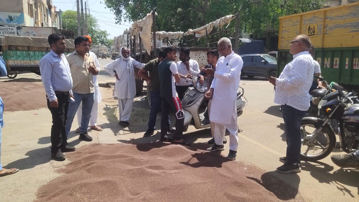 55 percent mustard lifted from the market, Rs 79 crore paid to farmers