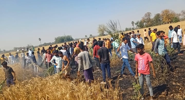 Five bighas of wheat crop burnt due to short circuit