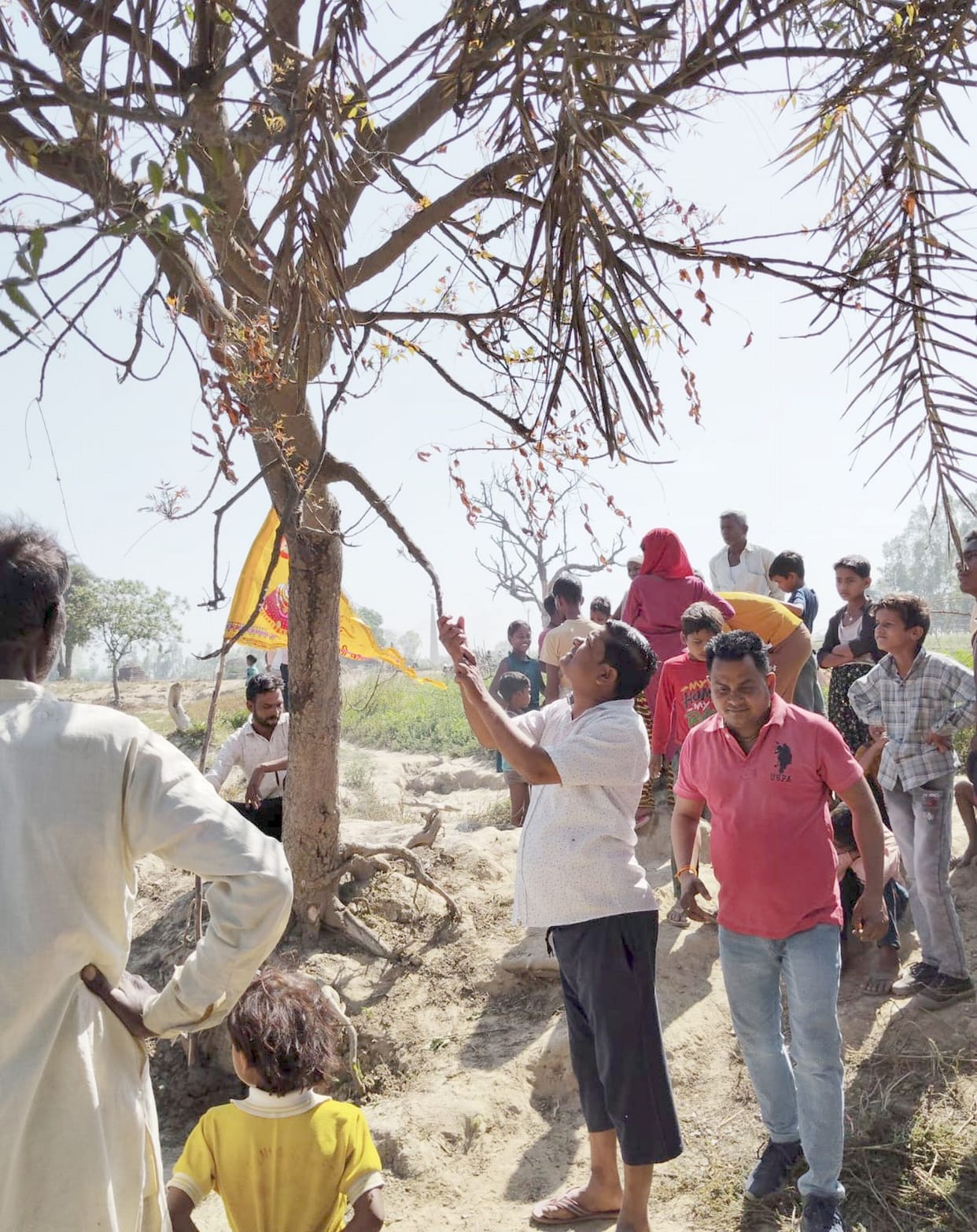Milk like substance dripping from Neem tree, bhajan-kirtan started