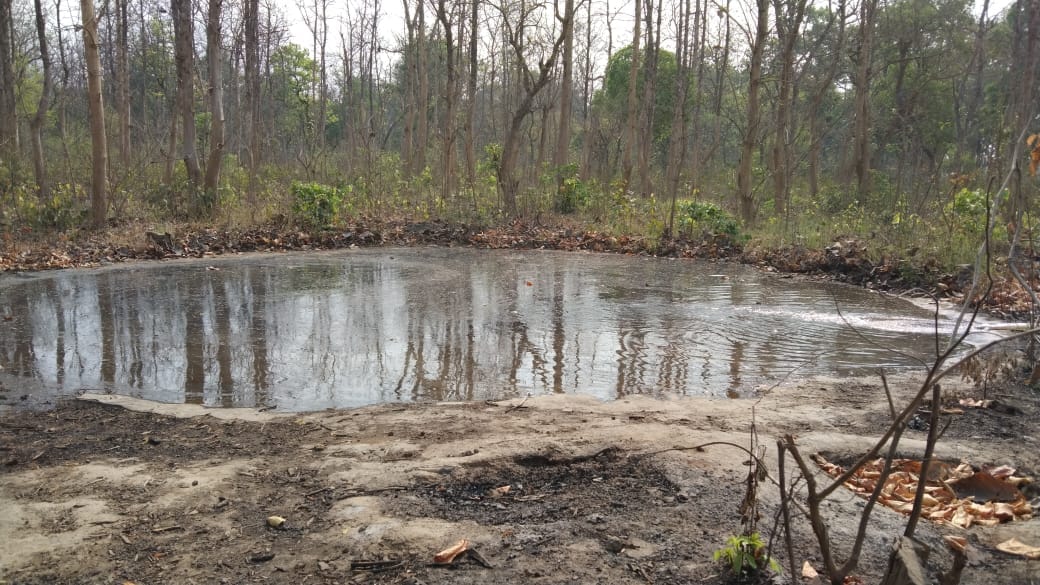 Water filled in water holes in the forest