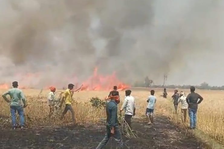200 acres of wheat crop burnt to ashes in fire