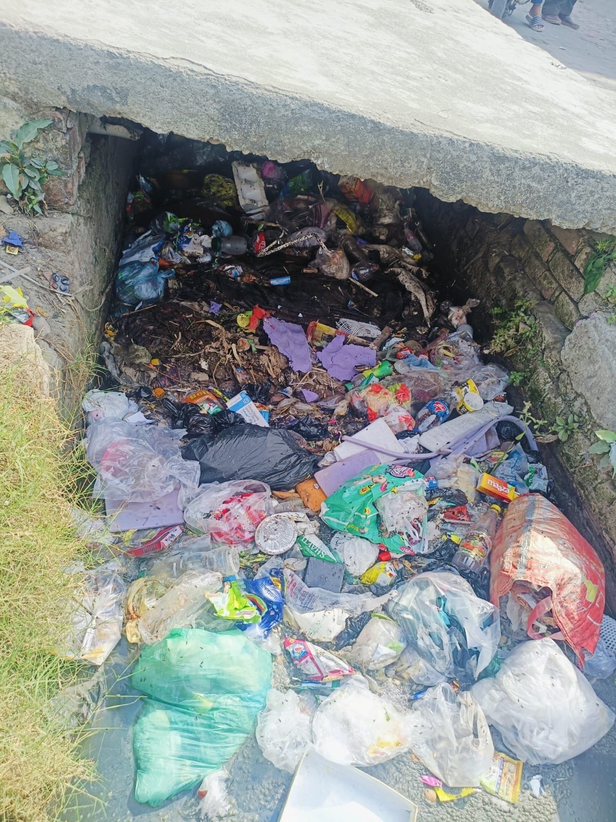 Colony residents upset due to drain not being cleaned