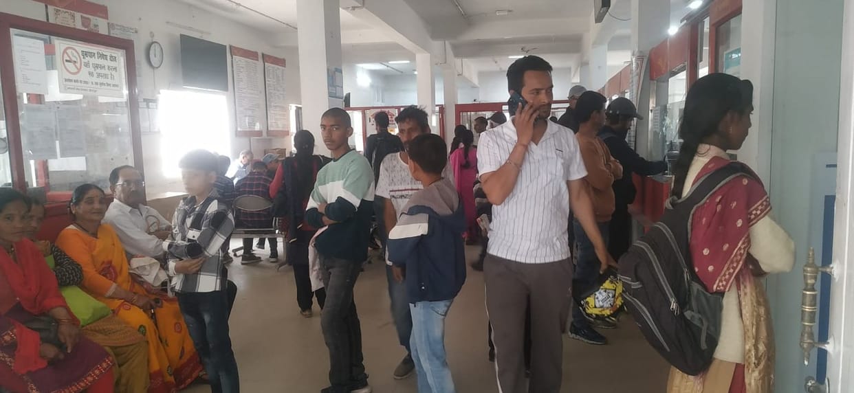 Monkeys destroy electricity, post office work halted