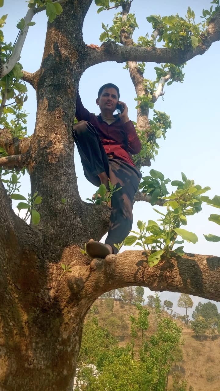 There is no communication facility in 1250 villages of Almora parliamentary constituency