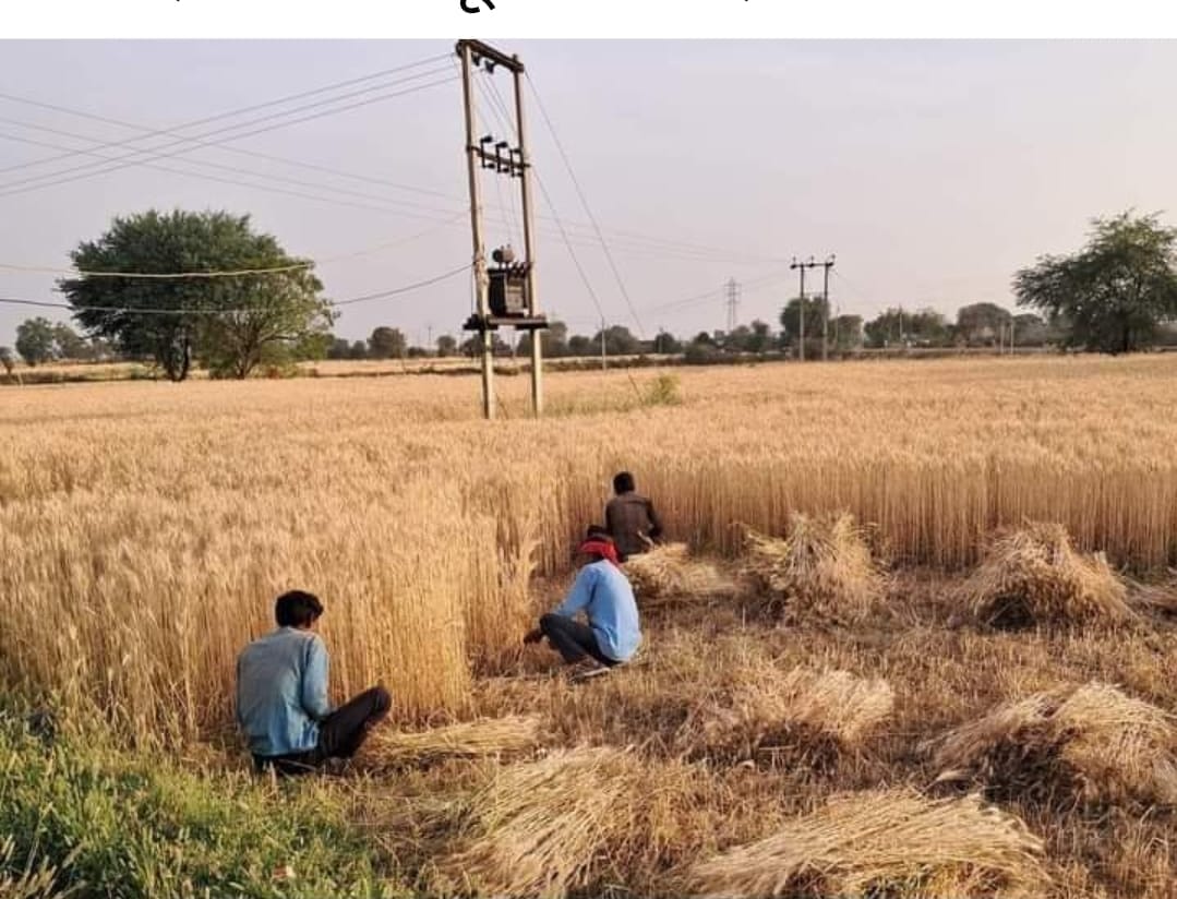 Farmers fear it may rain again