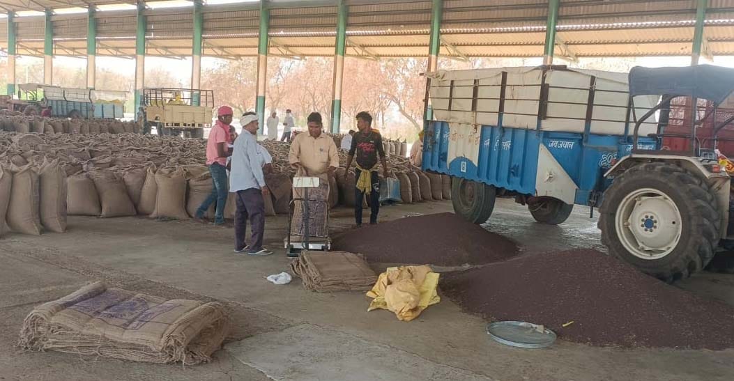 Rs 20 per bag is being collected from farmers for weighing and packing of mustard, officials said - taking money from farmers is wrong, will investigate