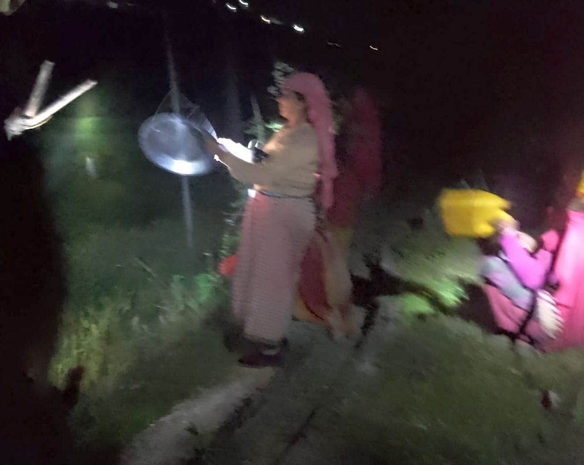 Wild pigs become enemies of farming, villagers stay awake all night to save crops