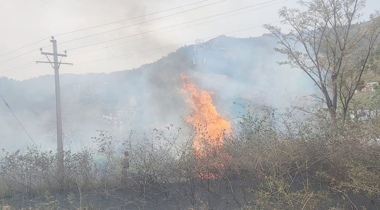Tree fell on transformer due to storm, fire broke out in dry grass due to sparks