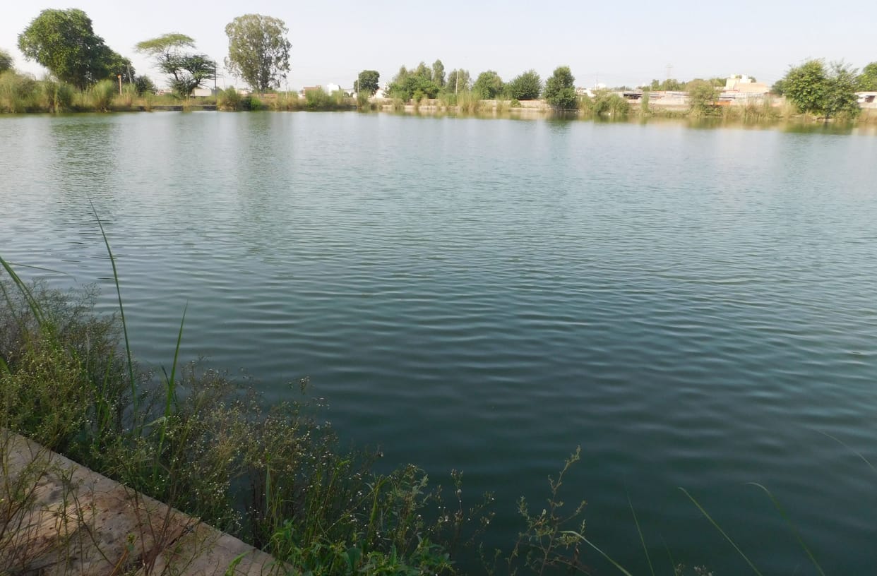 Water consumption estimated to increase by 67 percent after 20 days
