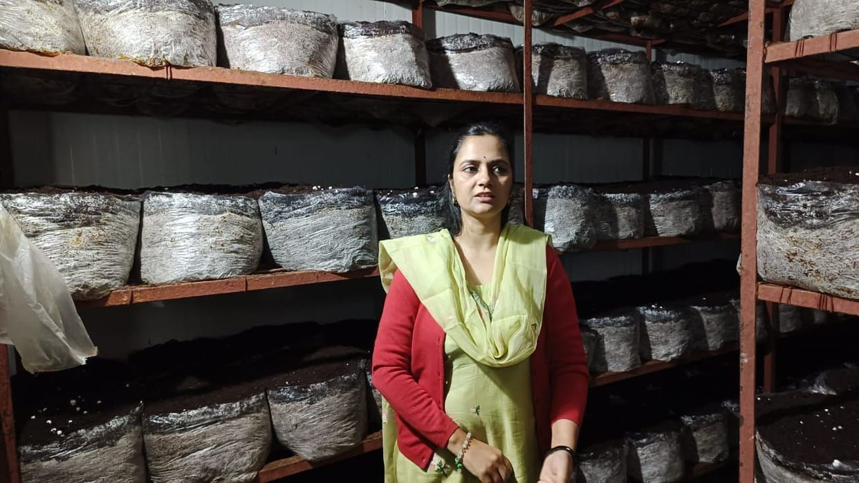 Dr. is making women self-reliant through mushroom cultivation. Sonia