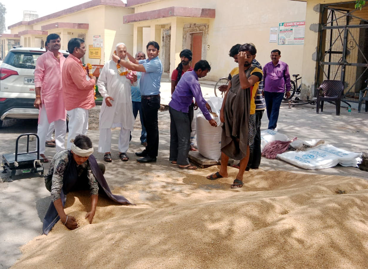 Wheat procurement started in Bilsi, first farmer honored