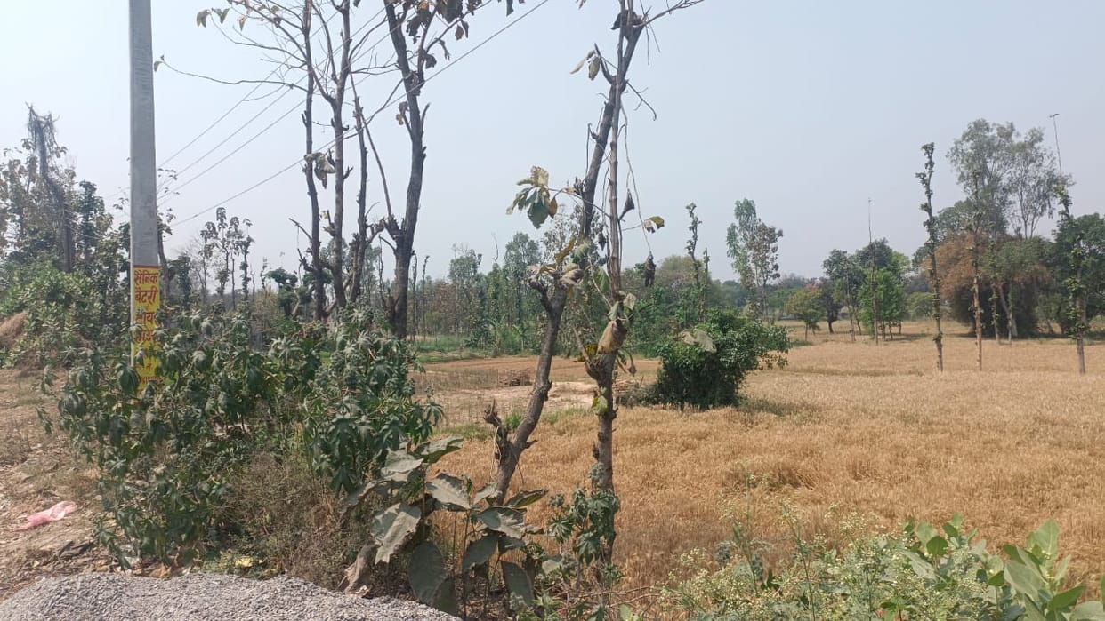 Land not being sold on the side of the highway, no construction taking place