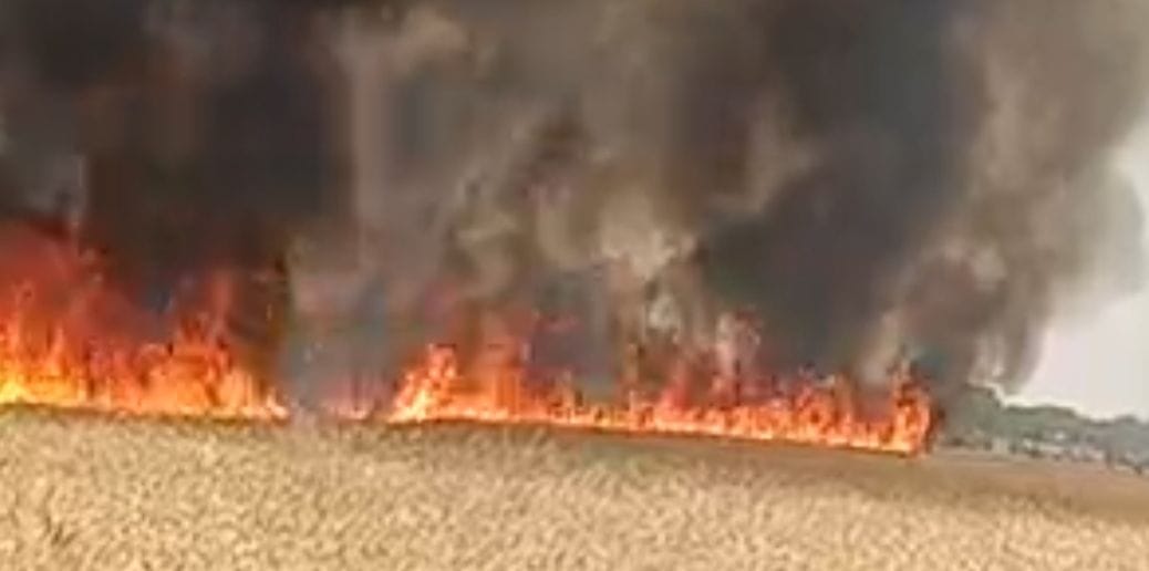 300 bighas of crop burnt to ashes in fire