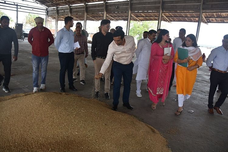Sonipat News: मंडियों में गेहूं व सरसों की आवक और खरीद जारी, डीसी ने सोनीपत व खरखौदा में जांची व्यवस्था