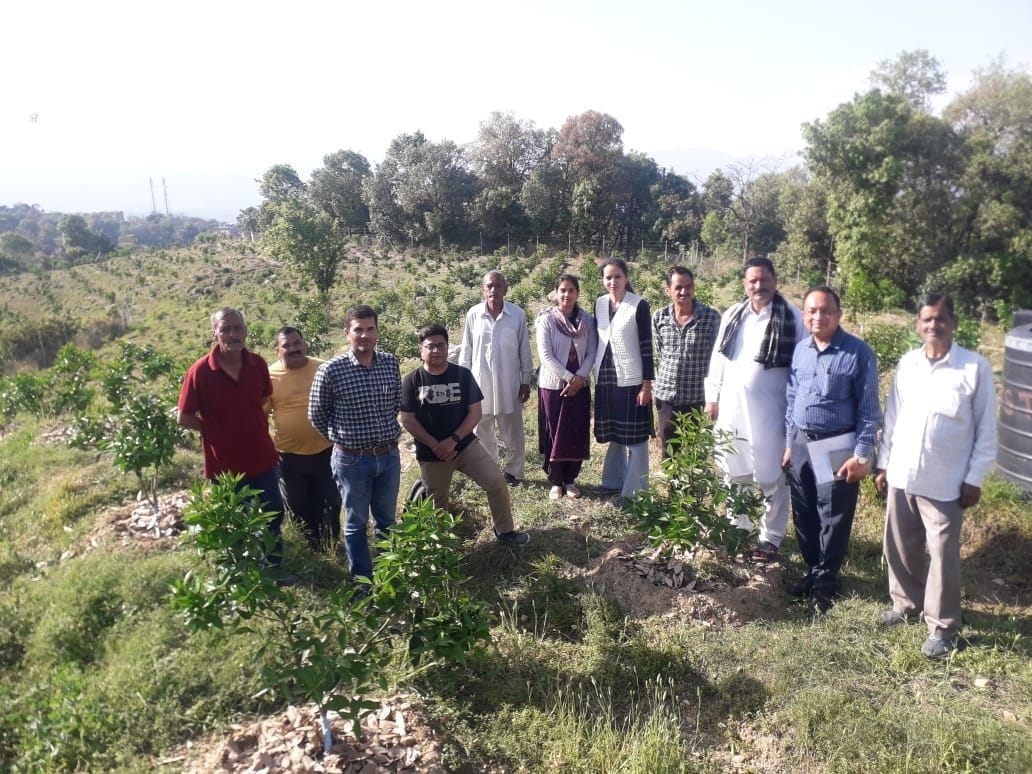 Planting of fruit trees started in Shiva Project