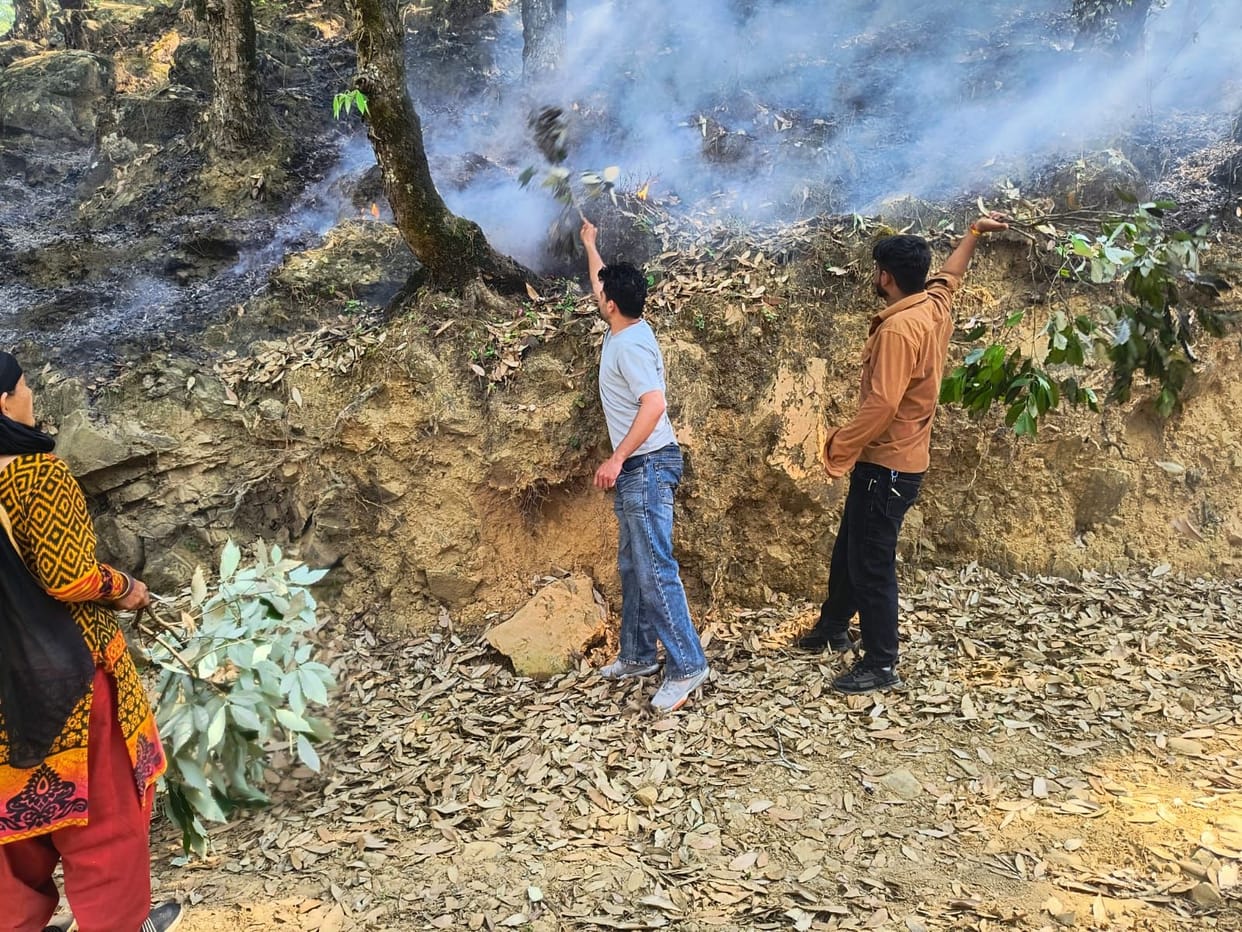Forest wealth spread over 100 hectares saved from burning