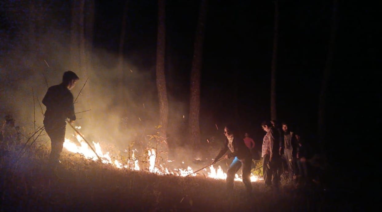 Uttarakhand Forest Fire has become threat to forest wealth as well as wild animals
