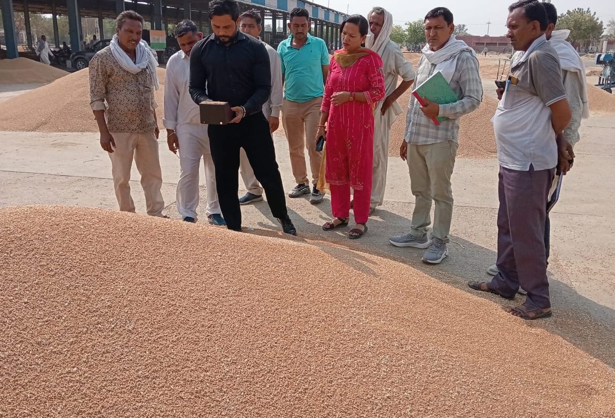 2680 quintals of wheat sold on first day of market
