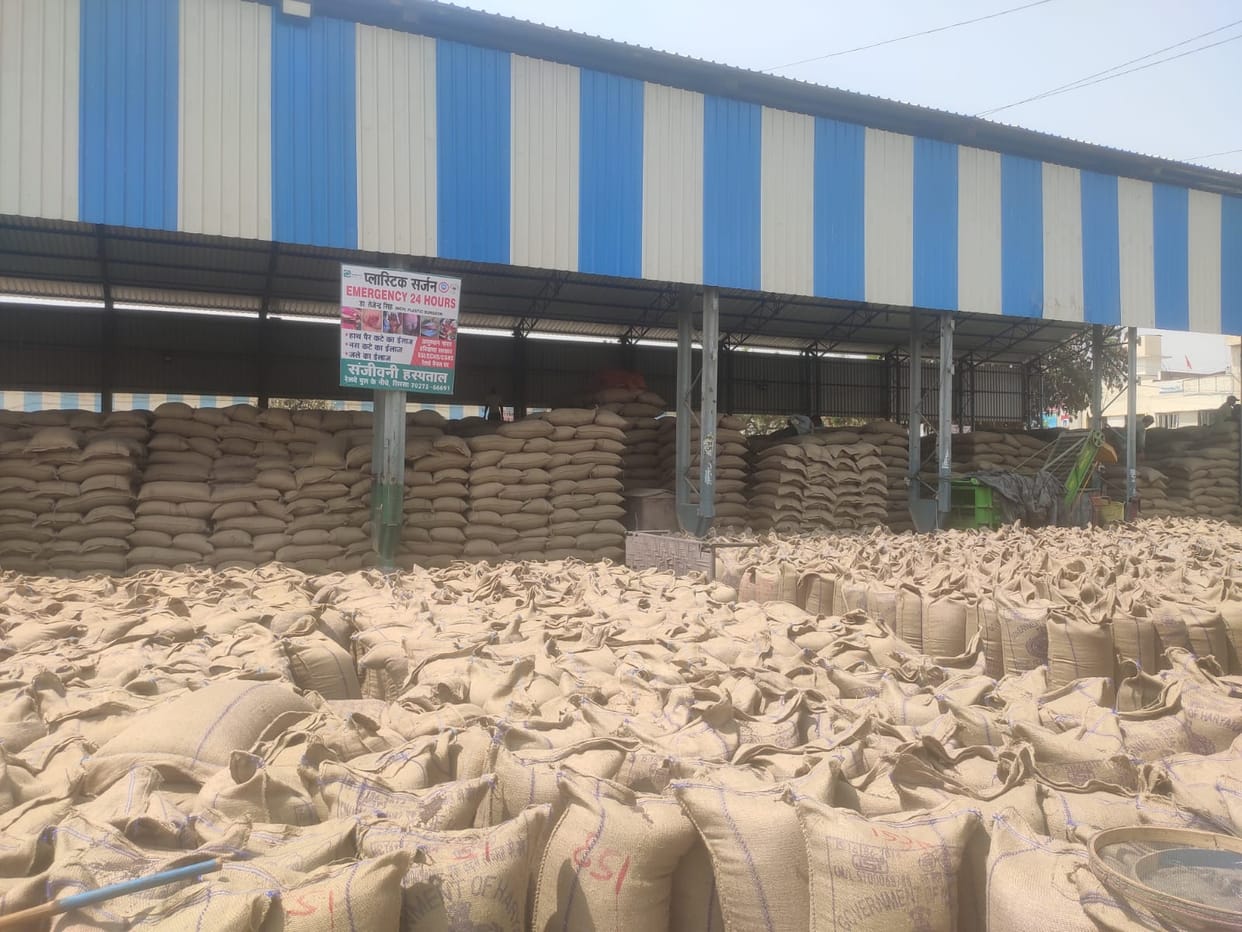 Farmers' hard work in the open, administration giving moment by moment weather updates to commission agents