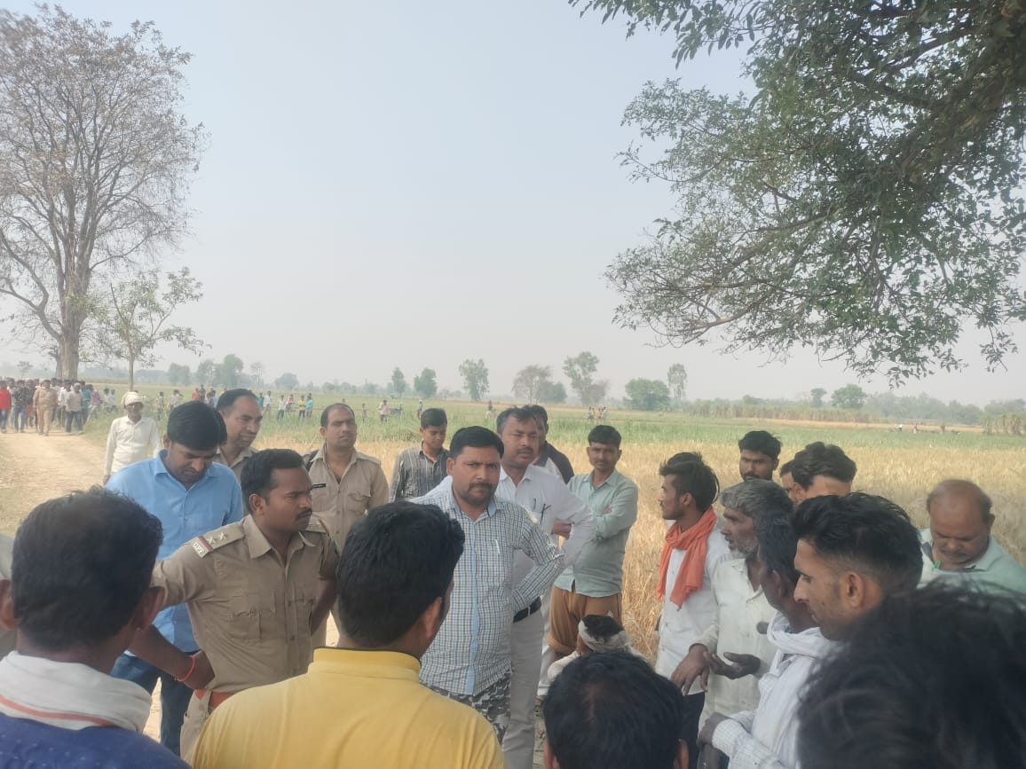 Panic broke out among the farmers after seeing the tiger