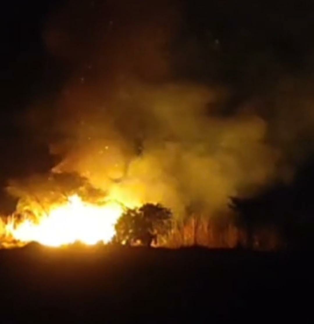 Bush fire on Ramgarh-Pataudi road