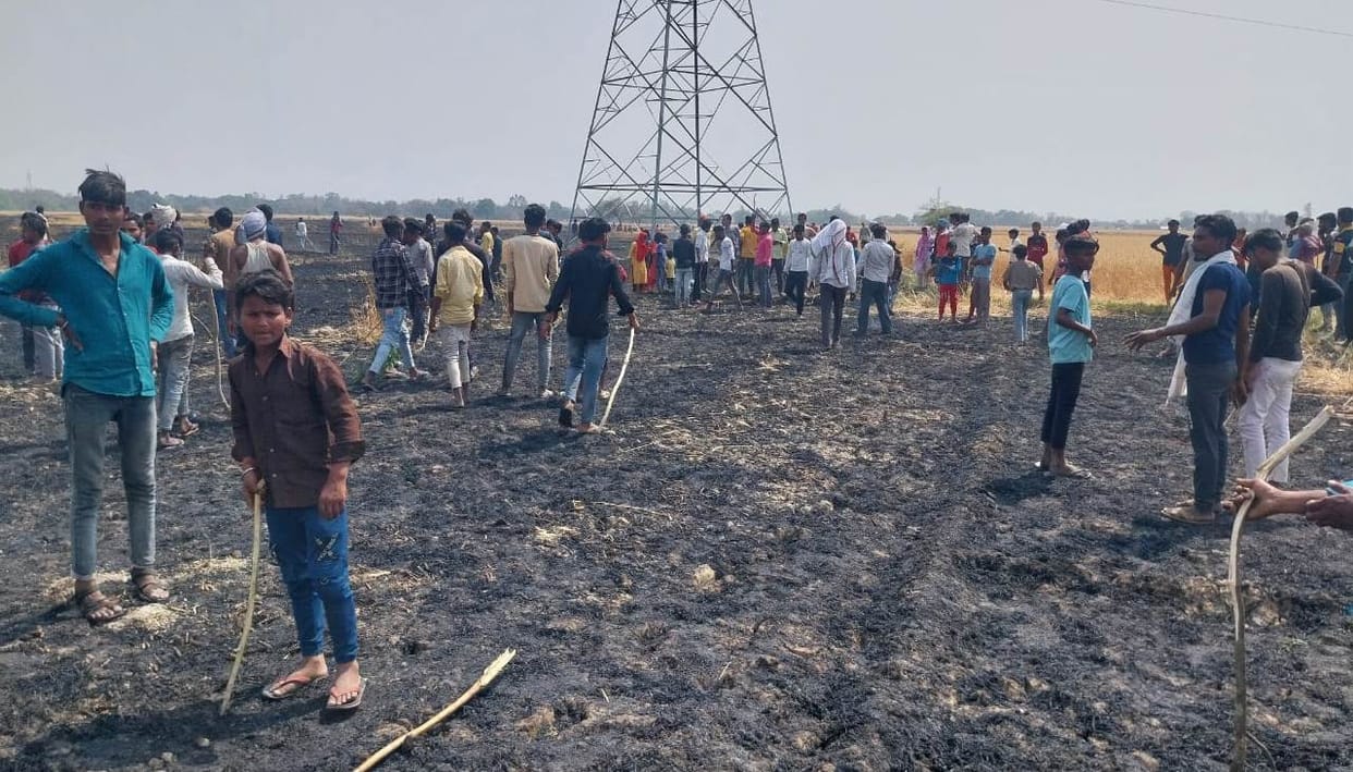 34 bigha wheat and sugarcane crop ashes