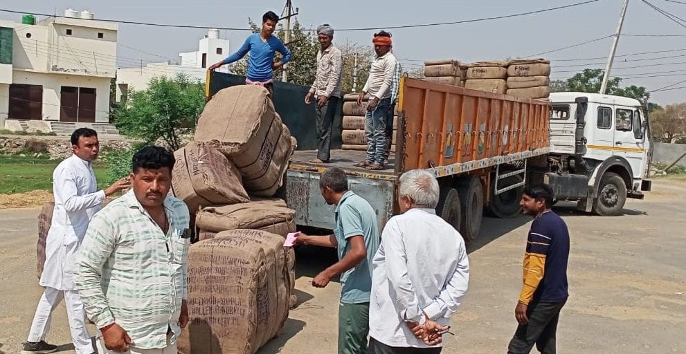 HAFED purchased 12070 quintals of wheat on the first day