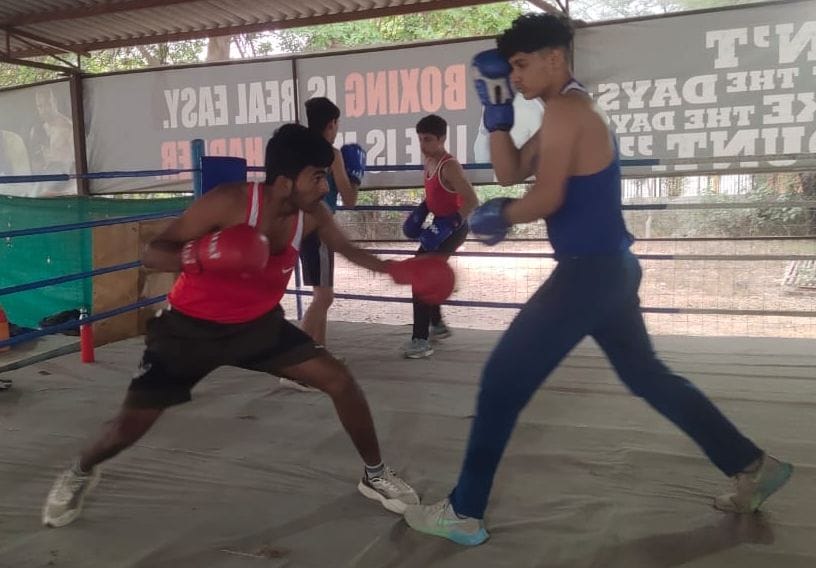 The crop of hopes is blooming in the nursery of boxing
