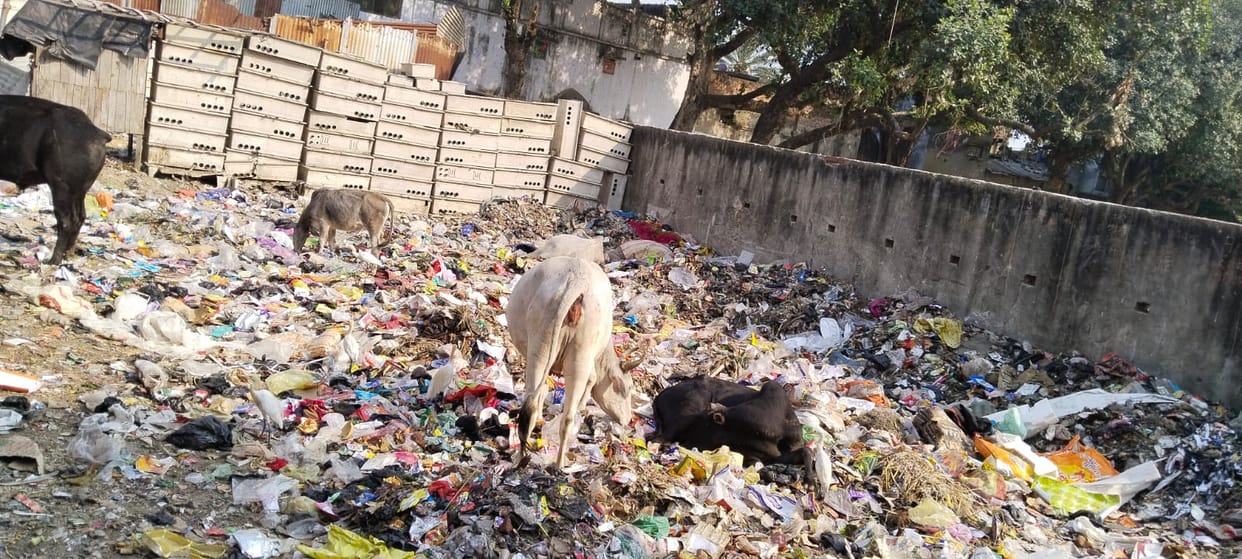 Door-to-door garbage collection system stopped in the city