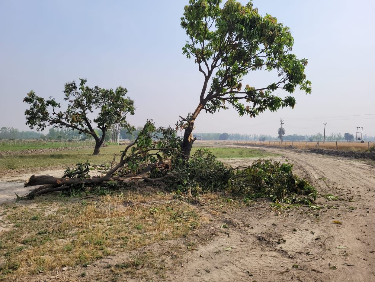 Allegation of acquiring land without compensation