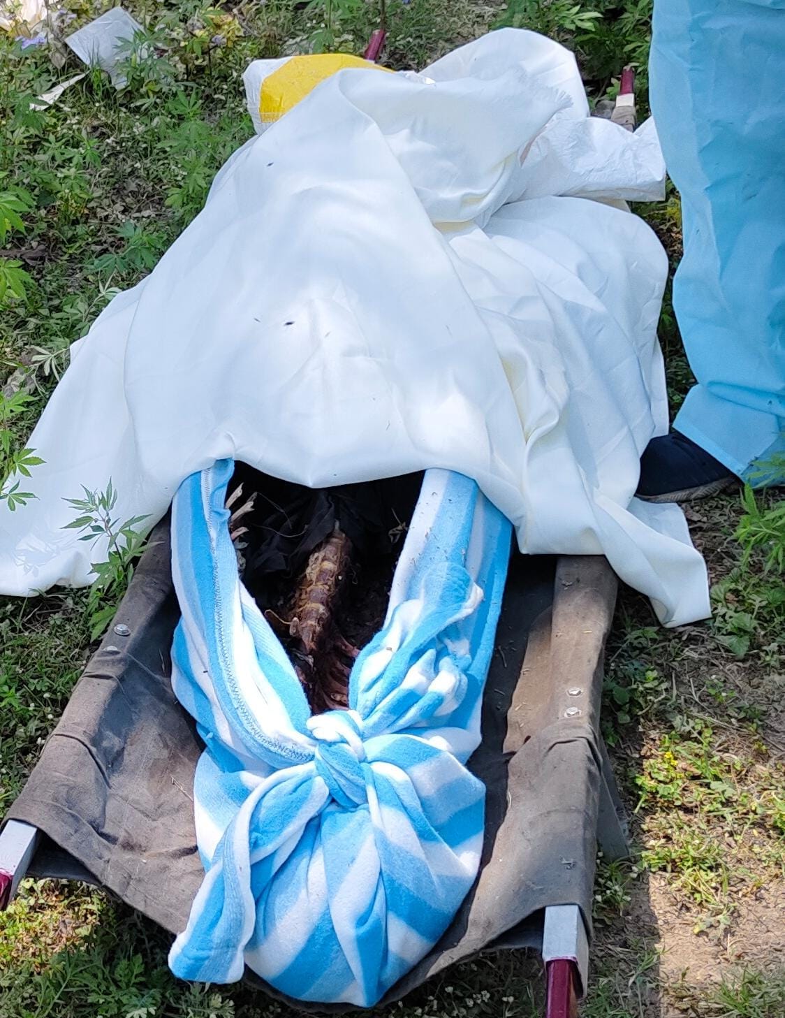Dead body found in Dudhla Mandi, scratched by dogs, turned into skeleton