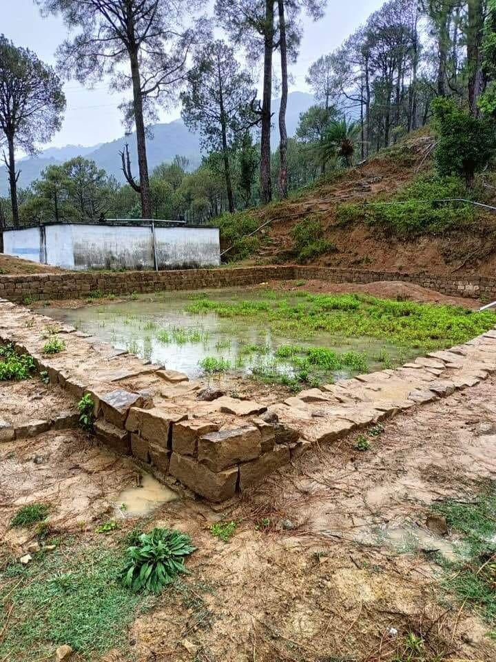 If rivers and streams dry up due to heat, ponds will quench the thirst of wild animals