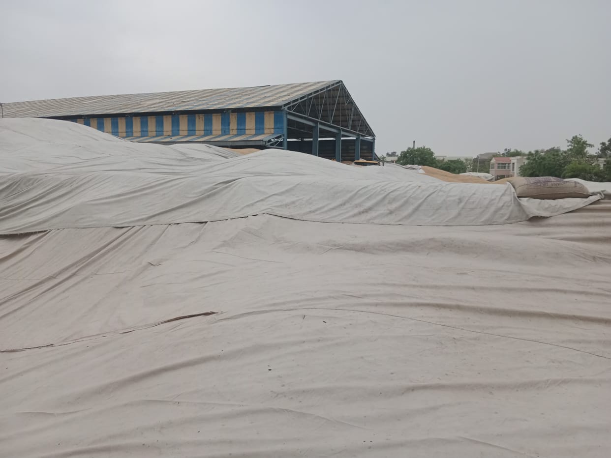 Farmers' worries increased due to bad weather