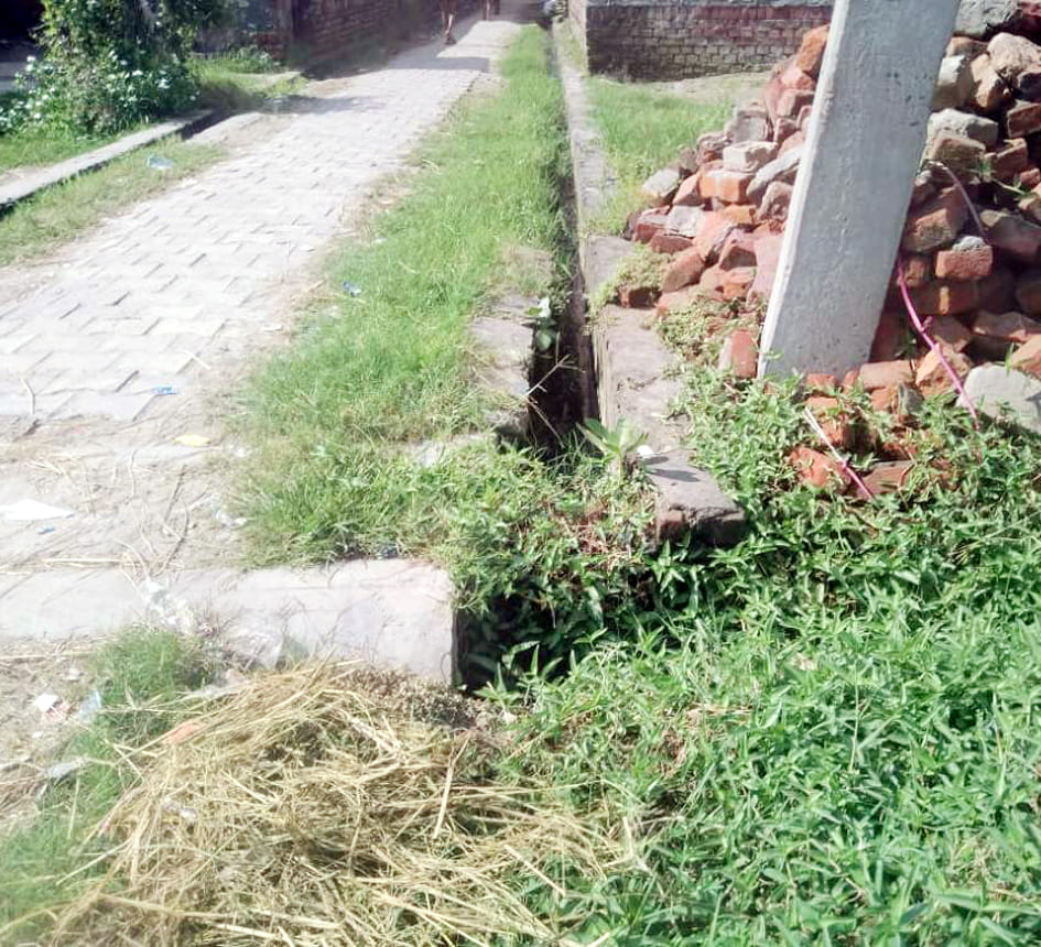 Danger of diseases spreading due to grass growing on drains
