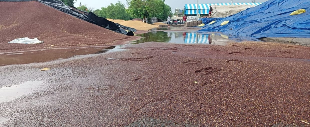 Farmers' hard work wasted in market of chaos