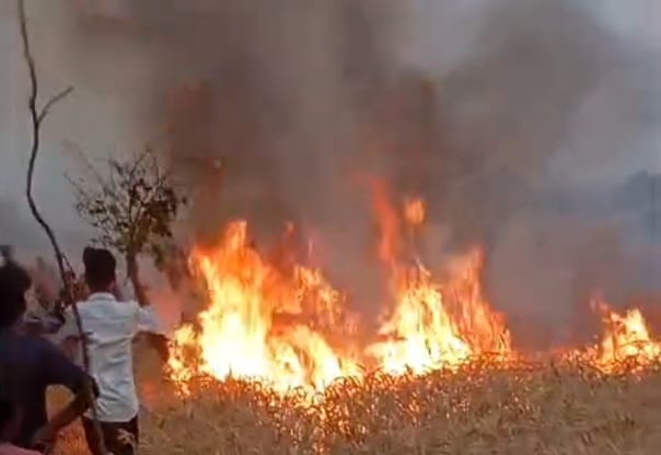 Short circuit due to crow sitting on wire, crop ashes due to fire
