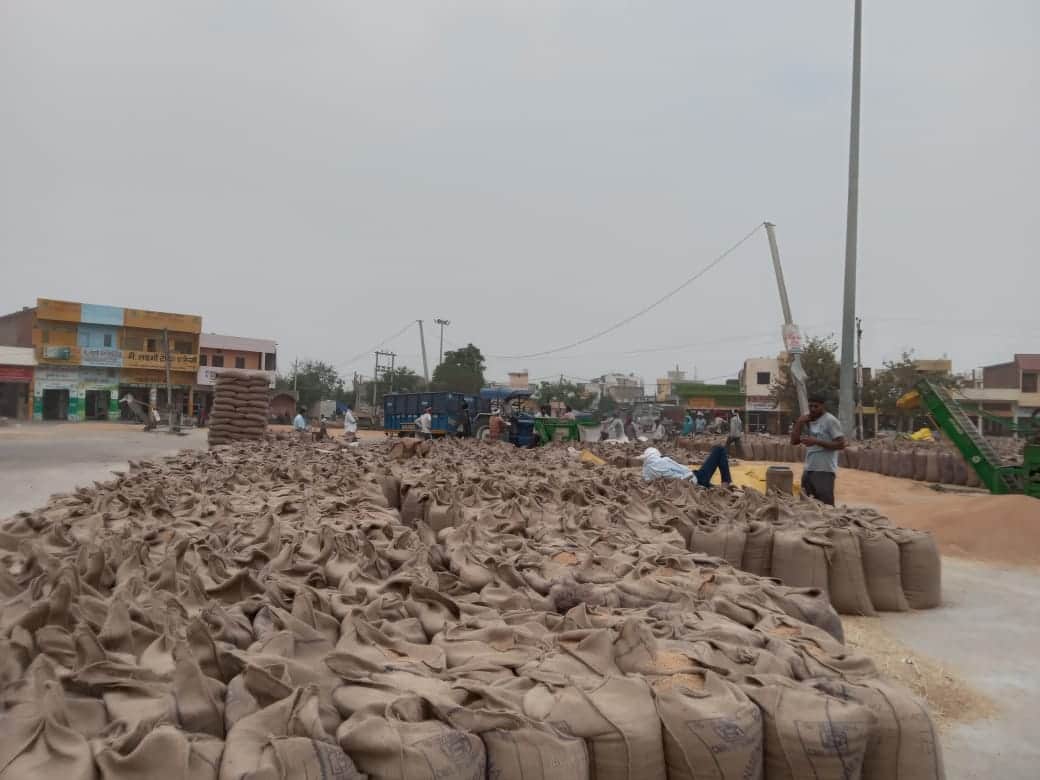 गेंहू खरीद। (सांकेतिक)