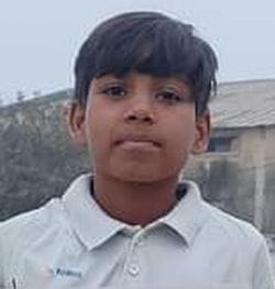 Cricket fever is rising among children after watching IPL