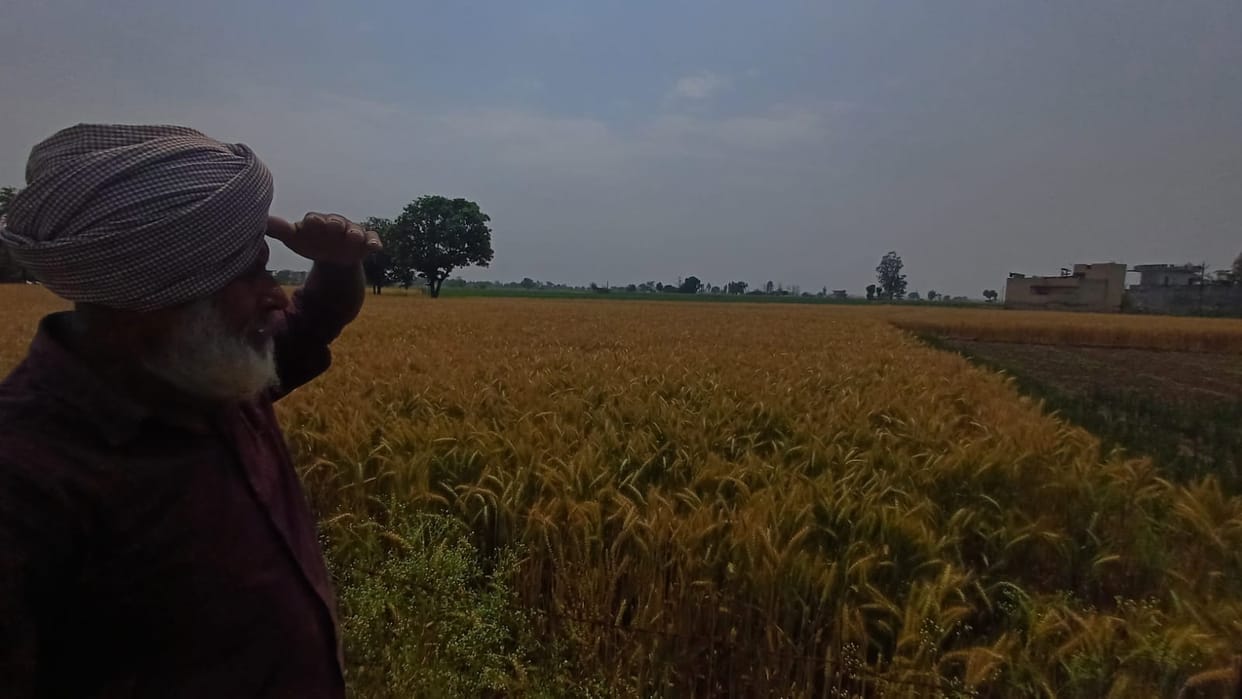 Cloudy from morning till evening, farmers worried
