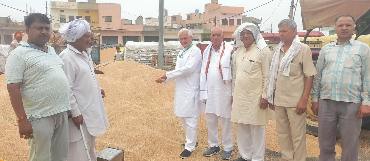 One and a half lakh quintals of wheat reached the market, not purchased, farmer leaders raised questions