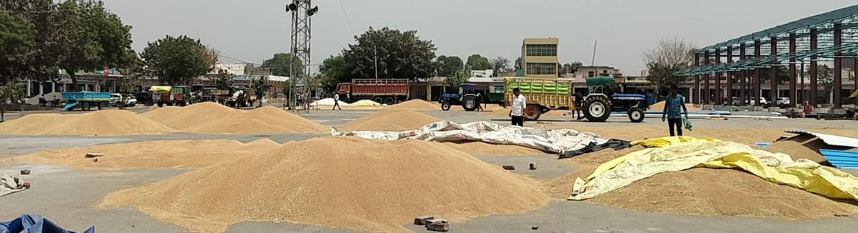Only 8 percent of the purchased wheat was lifted