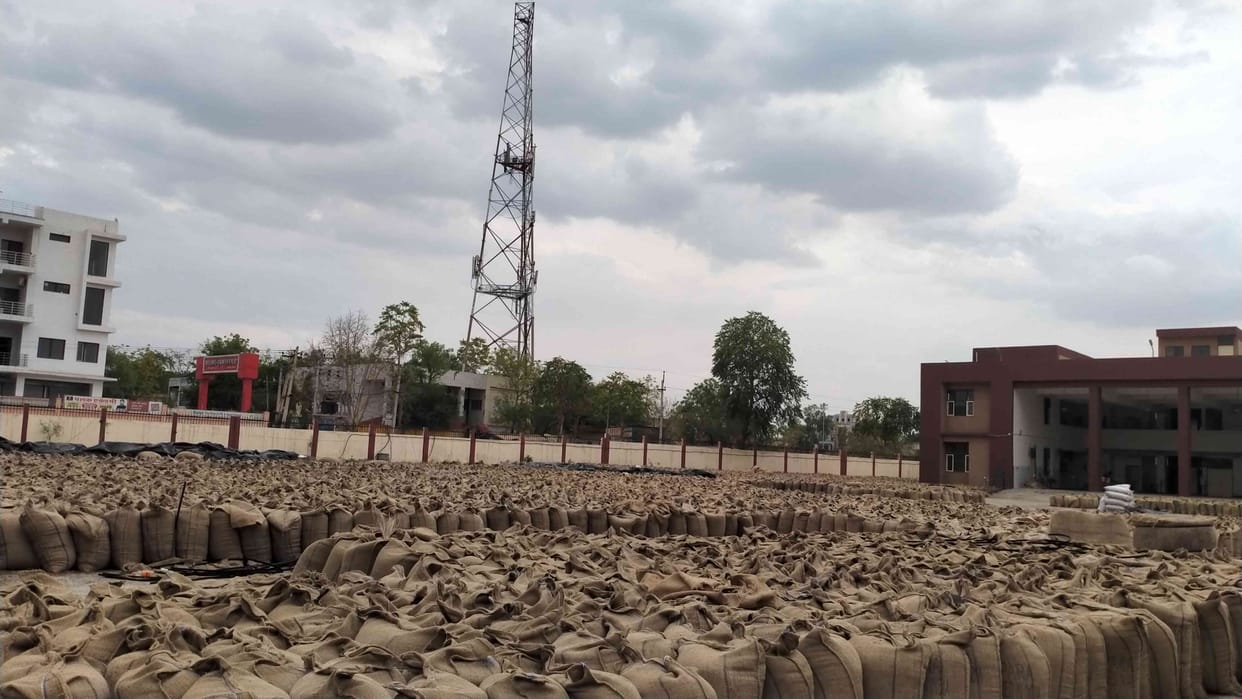 25 per cent in Mahendragarh and 40 per cent in Satnali