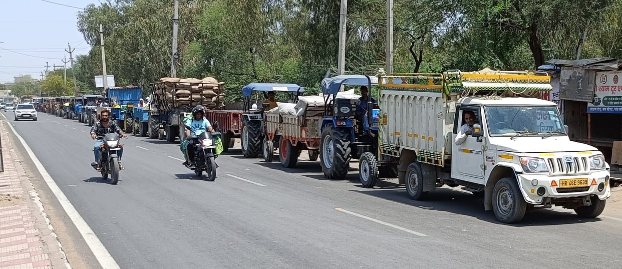 After being closed for three days, 38,709 quintals of mustard from 1942 farmers arrived in Charamandi, only 21 thousand quintals were purchased.