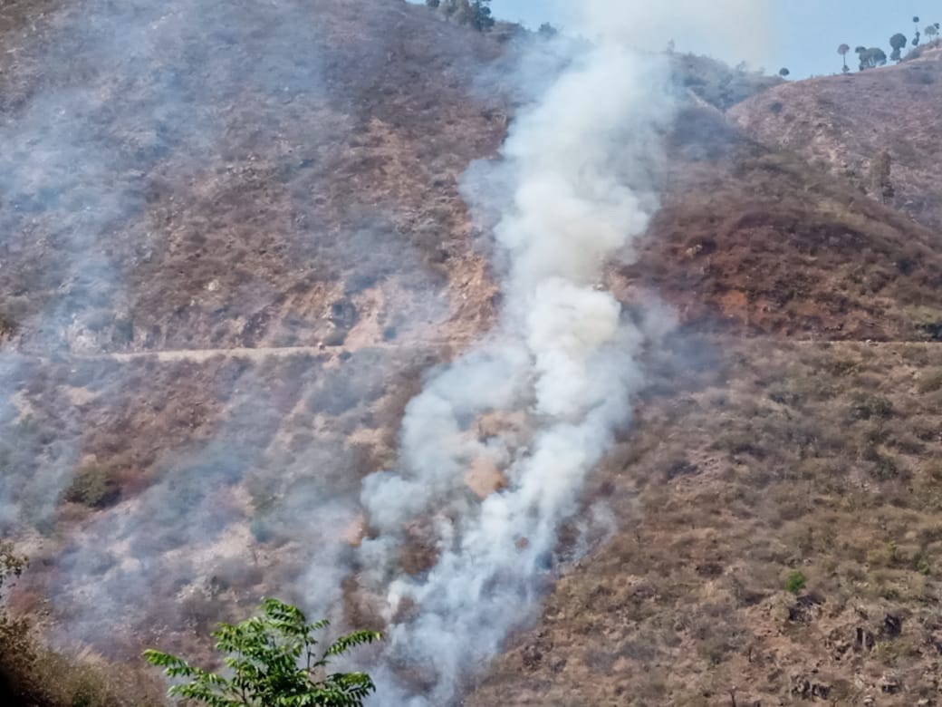 Fire broke out in the forest of Garampani and Nainital