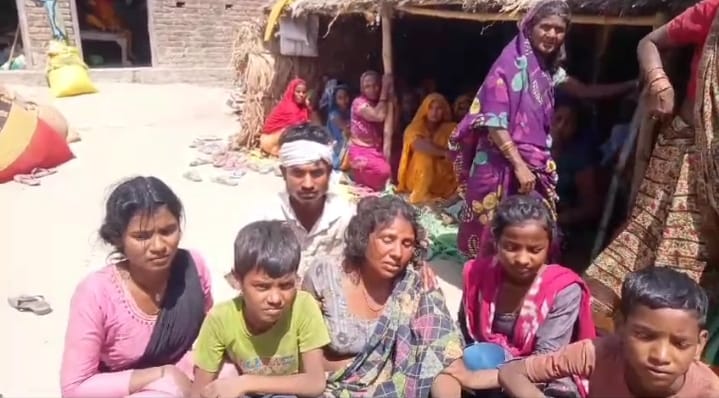Farmer dies after being hit by truck