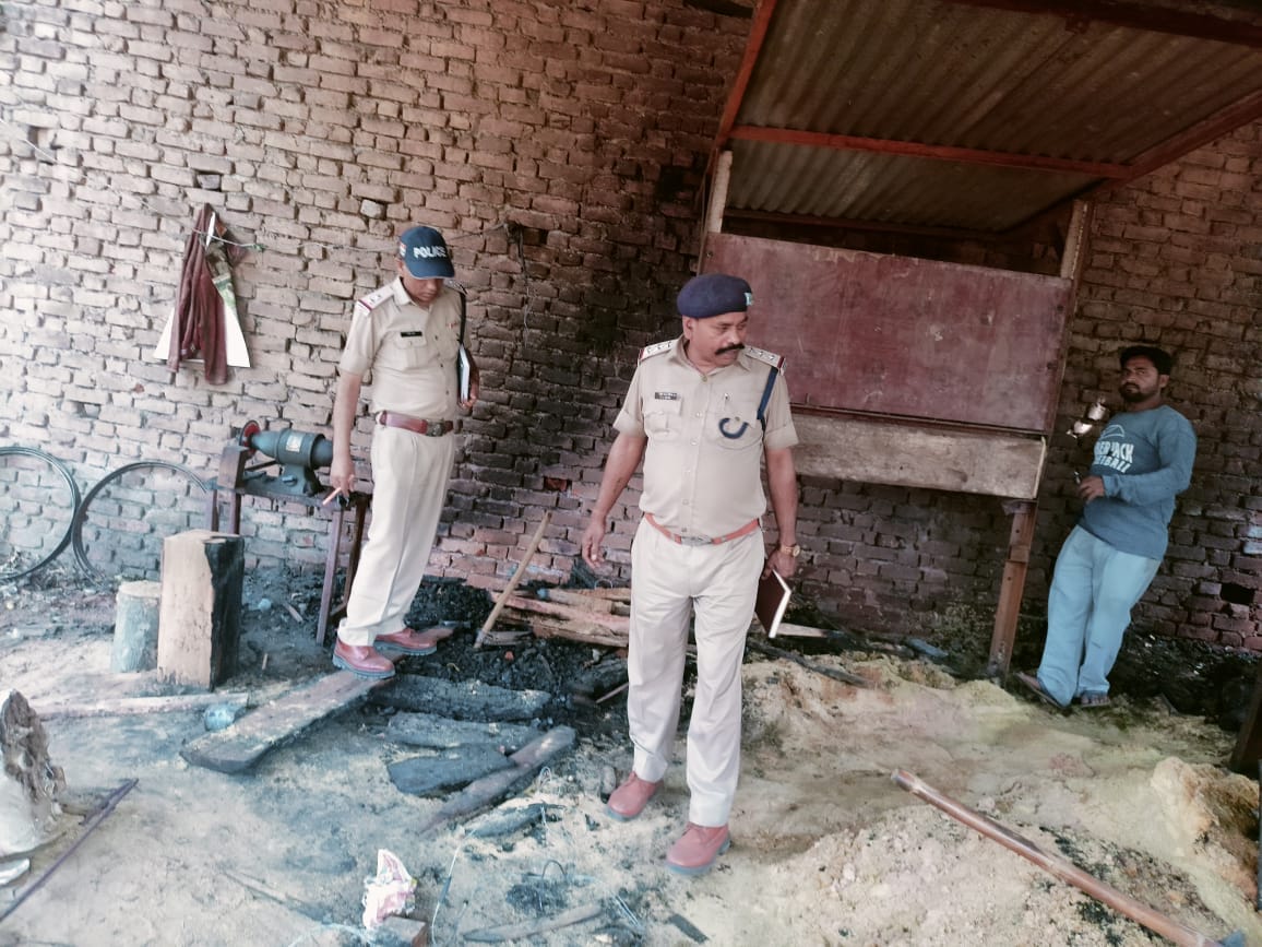 Monkeys shook power lines, fire broke out in wooden shed due to short circuit